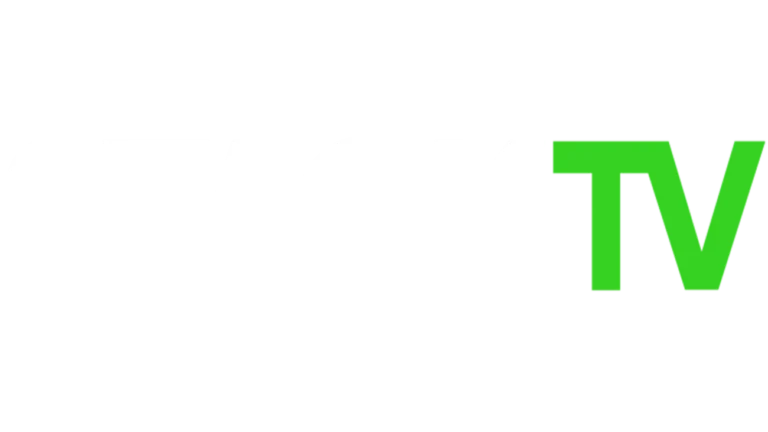 TV channel logo 13